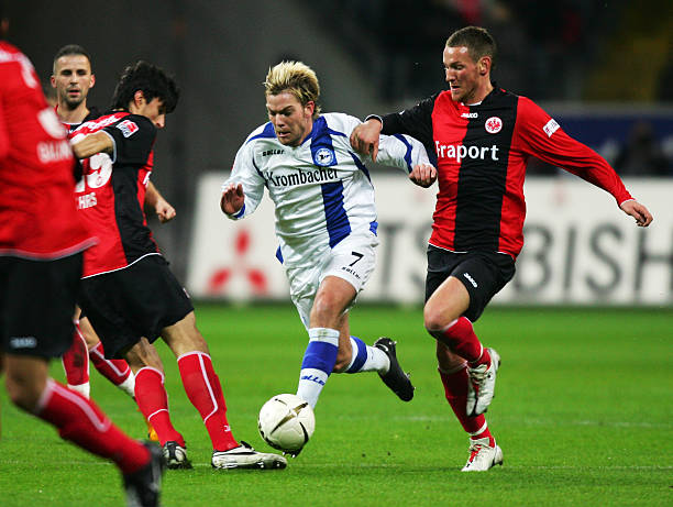 完美地展现 完美地展现